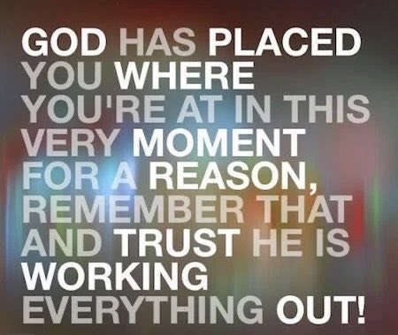 Dr. Paula Patterson tweet media