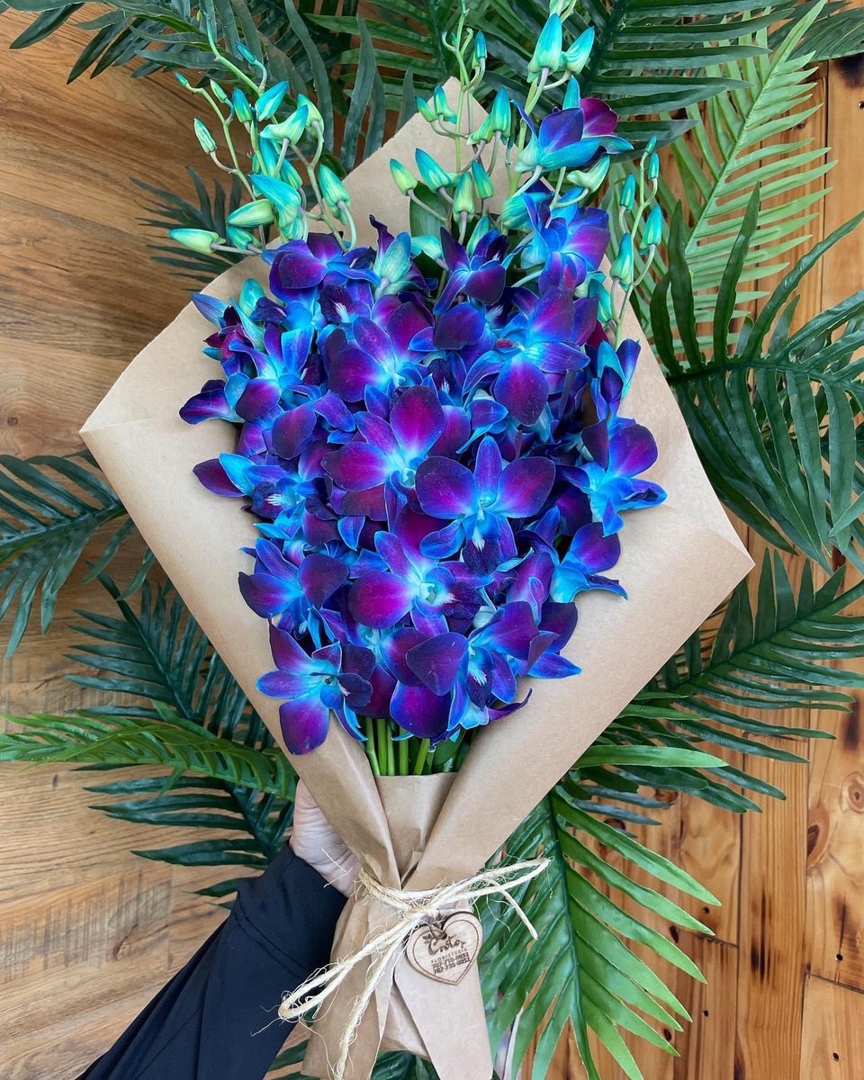 Había pedido expresamente que entregaran las flores a @PL4YWTHFIRE__ con una nota.

“Brillas más que el sol…sonríe.”