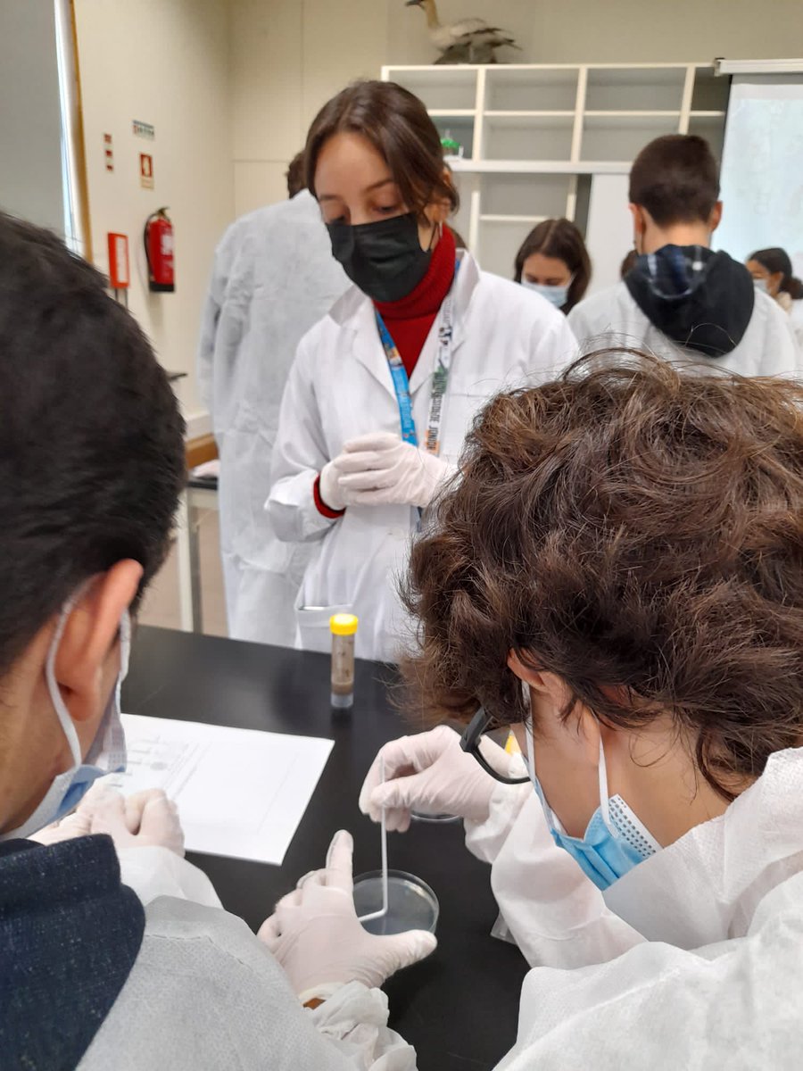 MicroMundoUP's tweet photo. The 3rd edition of @MicroMundoUP is now running in 2 different schools of Porto city - #FFUP and #FCNAUP university students are very enthusiastic teaching school students about our project to find bacteria with antimicrobial activity in soils! @BacTdrugs_lab  @UCIBIO_Research https://t.co/lqofKfVZvg
