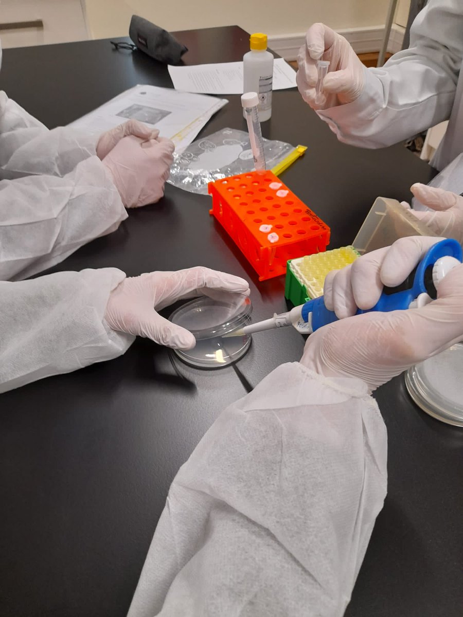 MicroMundoUP's tweet photo. The 3rd edition of @MicroMundoUP is now running in 2 different schools of Porto city - #FFUP and #FCNAUP university students are very enthusiastic teaching school students about our project to find bacteria with antimicrobial activity in soils! @BacTdrugs_lab  @UCIBIO_Research https://t.co/lqofKfVZvg