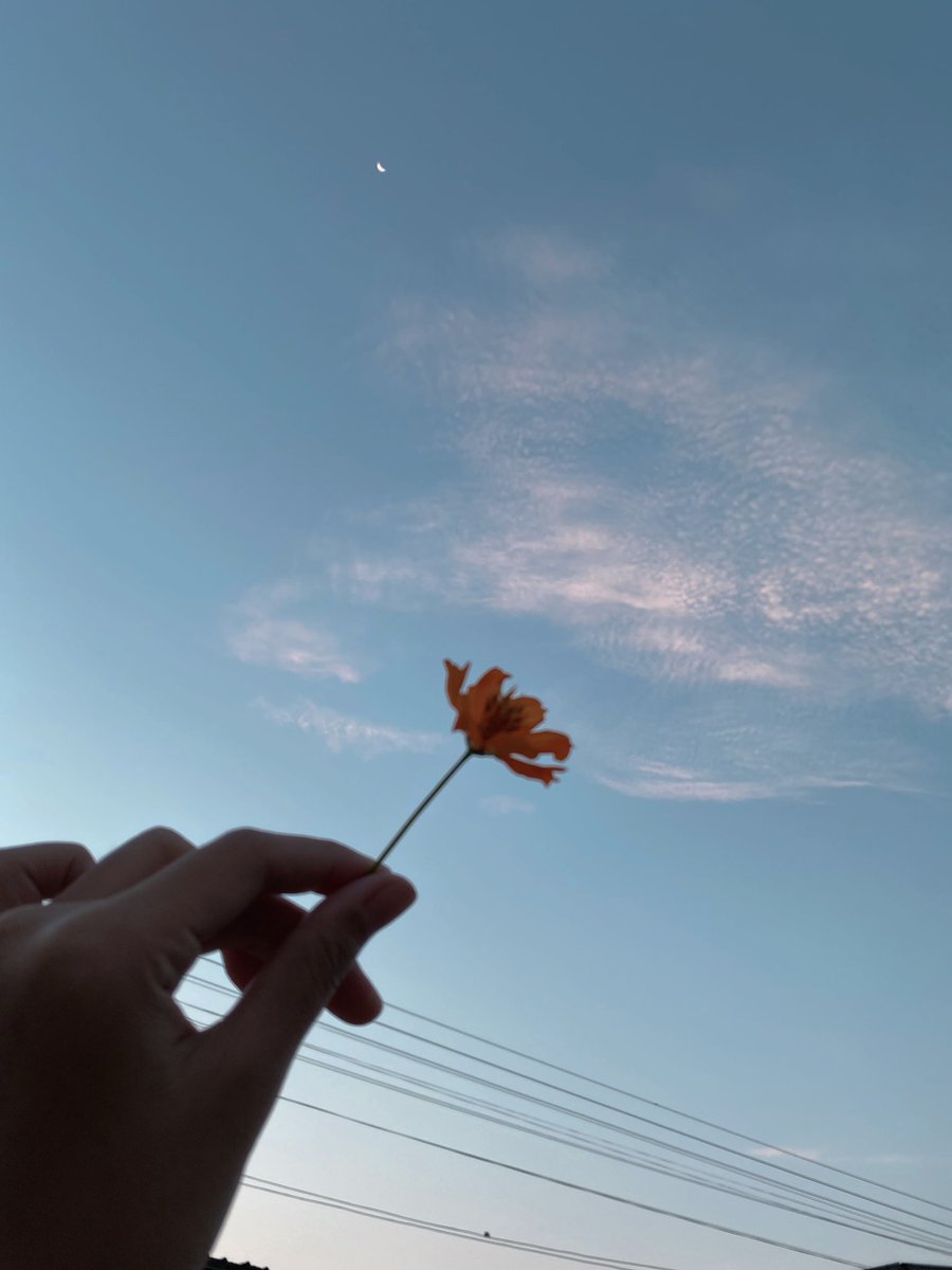 𝑁𝑎𝑚 𝑁𝑎𝑛 | busy tweet media