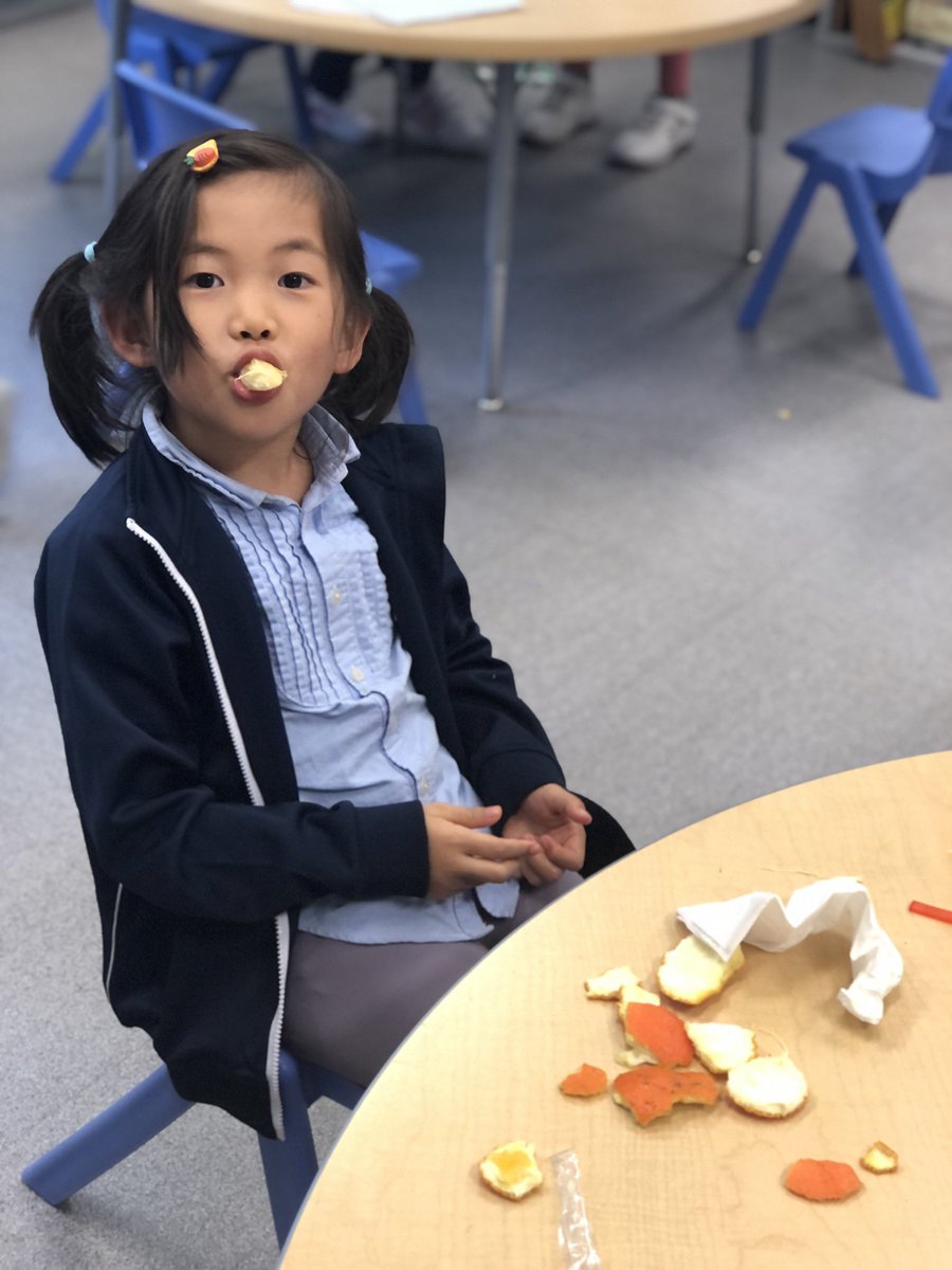 Debbiemcolwill's tweet photo. We kicked off our #poetry unit @AISGZ by unlocking our senses. Sts described their ๐ using their ๐ ๐ค ๐ ๐ and (the best for last) ๐
. It definitely helps having a poet @AdrianaRewald as an amazing EAL co-teacher to get excited about poetry. https://t.co/8VZtA6BLJB
