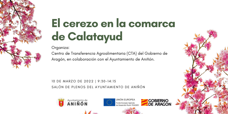📢 Comienza la cuenta atrás para la 𝐉𝐨𝐫𝐧𝐚𝐝𝐚 "𝐄𝐥 𝐜𝐞𝐫𝐞𝐳𝐨 𝐞𝐧 𝐥𝐚 𝐜𝐨𝐦𝐚𝐫𝐜𝐚 𝐝𝐞 𝐂𝐚𝐥𝐚𝐭𝐚𝐲𝐮𝐝"
📅 10 de marzo
⏰ 9.45 horas
📍 Ayuntamiento de Aniñón
💻📲📝 Inscríbete aquí: cutt.ly/tARWSZl