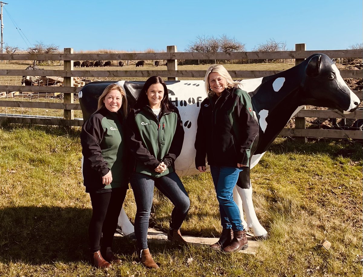 hoofcount's tweet photo. Today we celebrate #InternationalWomensDay2022 and acknowledge the #womenindairy working within our #hoofcount team #teamdairy #dairy https://t.co/JfdjaBbcMQ