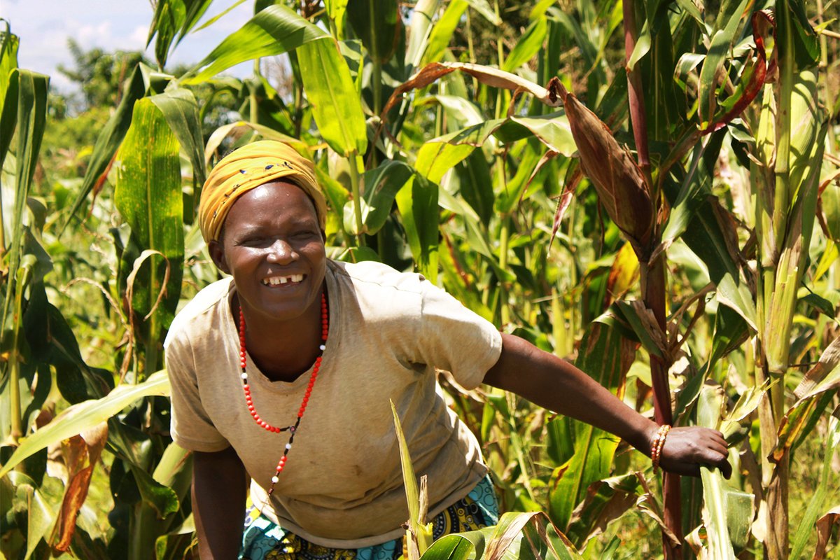 Treesftf's tweet photo. We are privileged to meet strong, inspiring women every day.

Today, on #InternationalWomensDay we’re celebrating the amazing women changing their farms and future through the #ForestGardenApproach! 🌳

#WomeninFarming #LetsGetPlanting https://t.co/0FJhMQI2vh