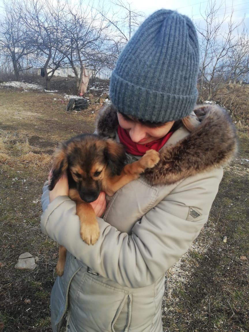 Julia Blake tweet media