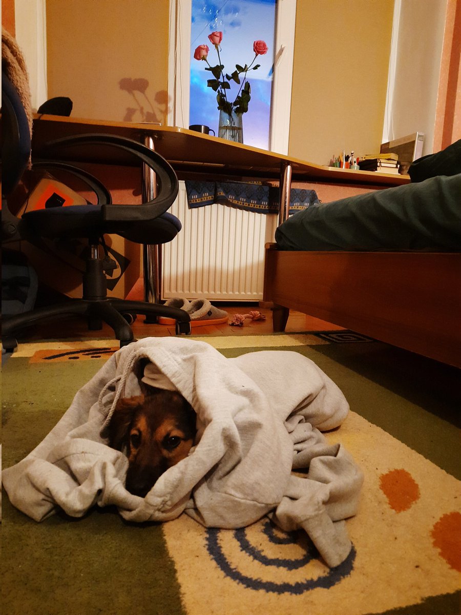 Julia Blake tweet media