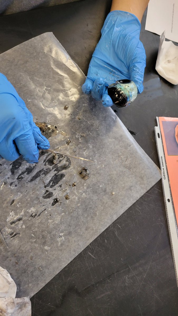 KendraLow2's tweet image. While learning about stimuli and response, it was obvious that the eye plays an important role. So let us see what is the structure and function of the eye! @AEMA_JDMS @OpalHFord