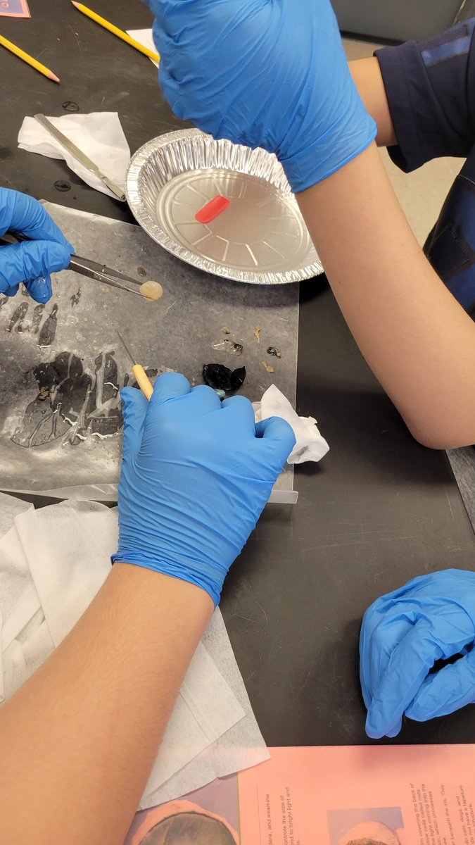 While learning about stimuli and response, it was obvious that the eye plays an important role. So let us see what is the structure and function of the eye! <a href="/AEMA_JDMS/">Academy of Energy, Medicine and Aerospace at JDMS</a> <a href="/OpalHFord/">Opal Harrison Ford</a>