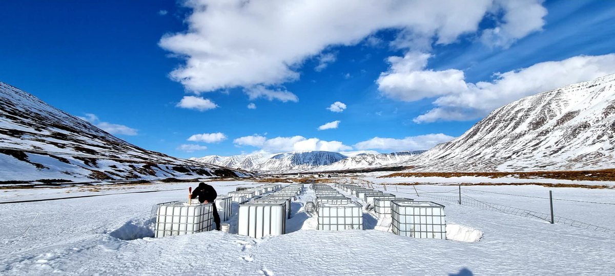 katjajrasanen's tweet photo. 6 a stunning glimpse to our planned mesocosm experiment @hu_biology #Holar #Iceland A bit still to go but spring will come… Takk for the pic @hei_kari ! https://t.co/vW0quo27Rw