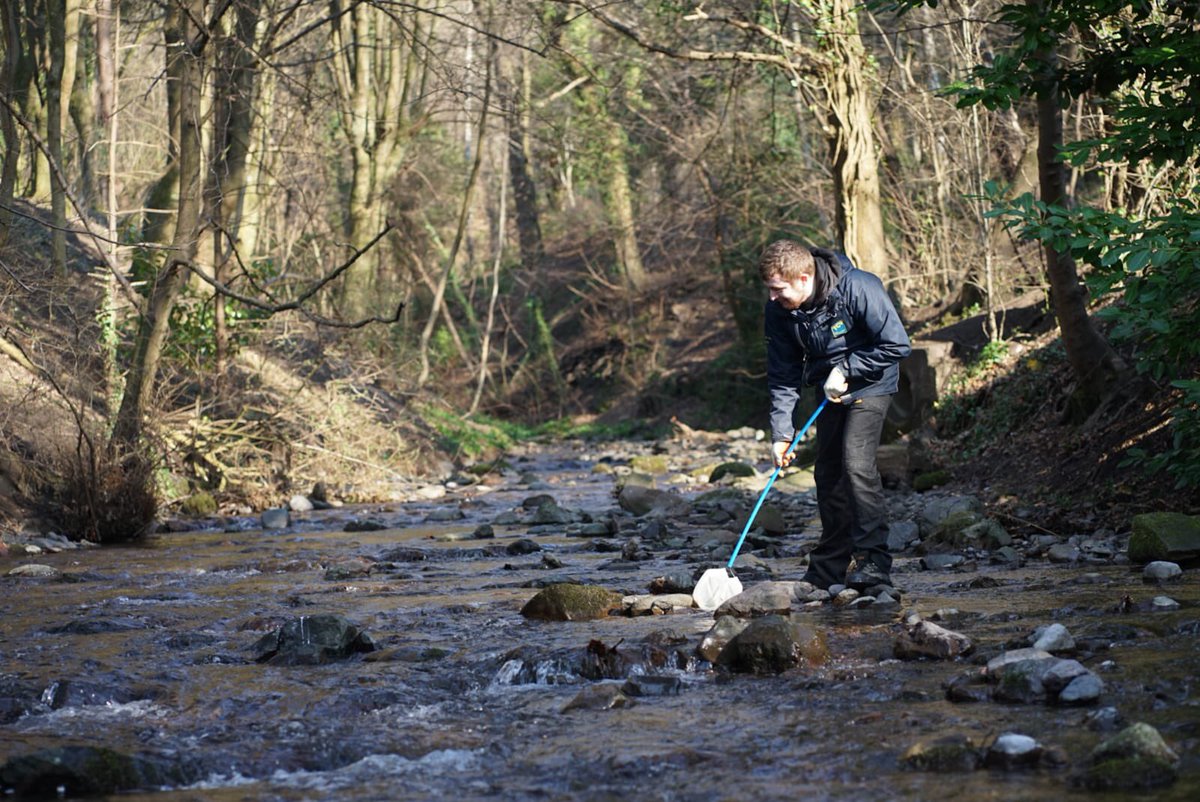 Today we were doing tree identification with <a href="/ClacksCouncil/">Clackmannanshire Council</a> &amp; <a href="/AlvaDevTrust/">Alva Development Trust</a>.  <a href="/TCVtweets/">The Conservation Volunteers (TCV)</a> #outdoors #naturephotograph #trees #photography