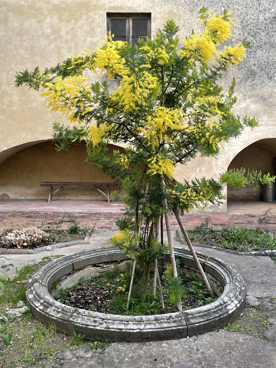 Honouring the strength, courage, wisdom and contributions of women past and present this #InternationalWomensDay2022.