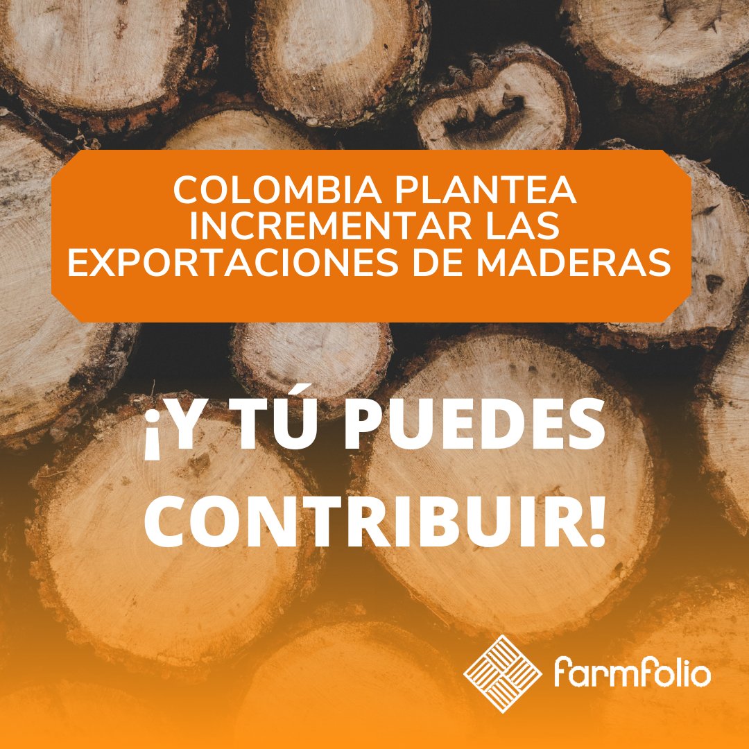 farmfoliocol's tweet photo. Burroteka, uno de nuestros clientes, está contribuyendo significativamente a ese esfuerzo, exportando productos de teca de alta calidad. 

Pongase en contacto con nosotros 🤩

Ingresa al siguiente link para saber mas información 👉🏼 https://t.co/y4TDG5y0rf

#Madera #exportaciones https://t.co/jjZmCslZ8R