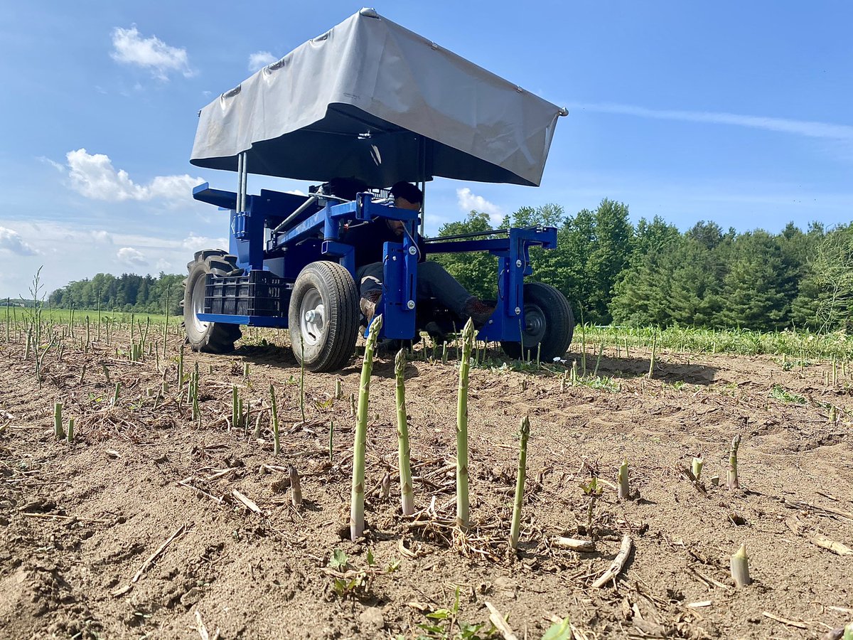HELLO MARCH! 

Spring is in the air and the countdown to asparagus season is on! How are your electric harvesting carts looking? If you require parts or service, please contact our service technician at 519-532-3076.