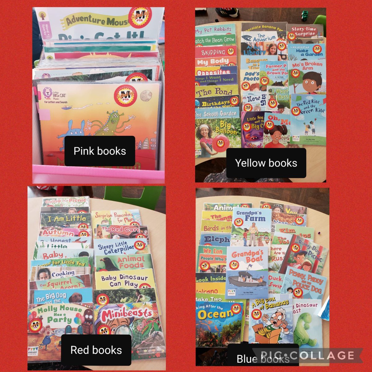 marlboroughpri's tweet photo. A huge thank you @mps_pta for the wonderful new reading books. This is going to have such a huge impact on reading provision. 📚 https://t.co/tngoN7RAam