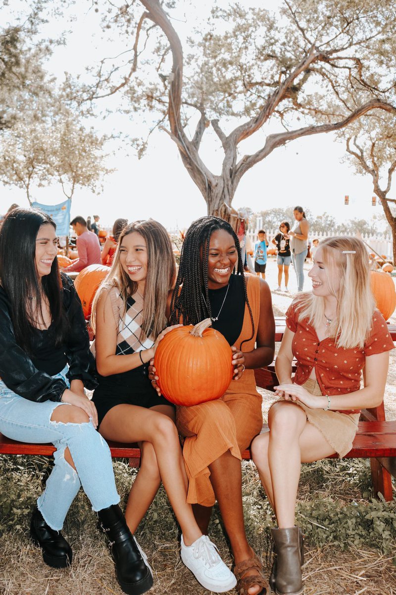 UTSA Panhellenic tweet media