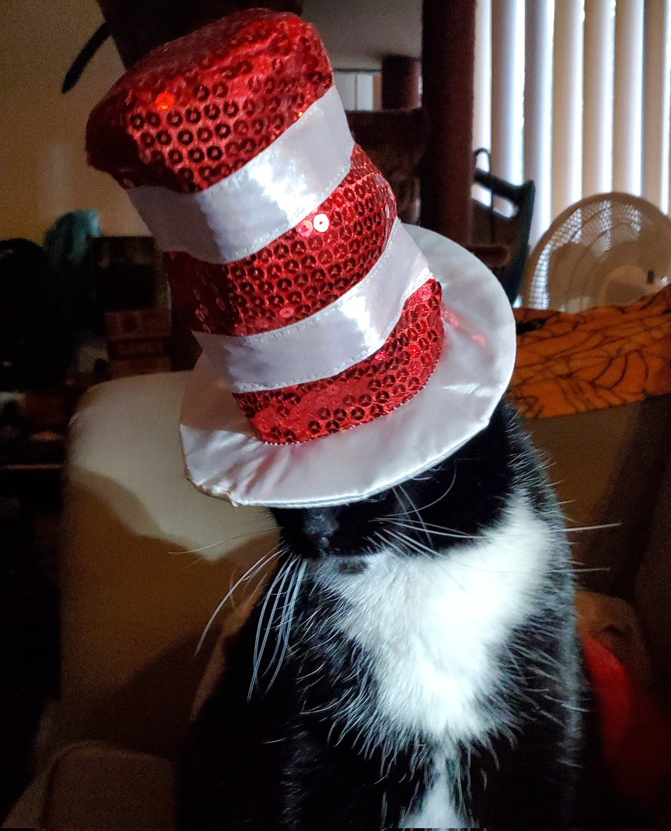 Cat_Cosplay's tweet photo. @bunsenbernerbmd
#HatFriendDay shenanigans. https://t.co/W3R7H65fr7