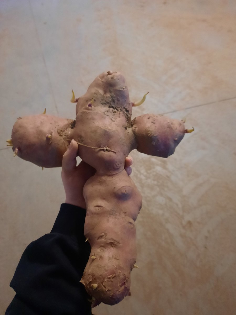 SxpheK's tweet photo. holy christian potato https://t.co/OsVcFUo43v