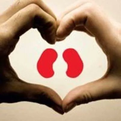 AK Kidney Patients tweet media