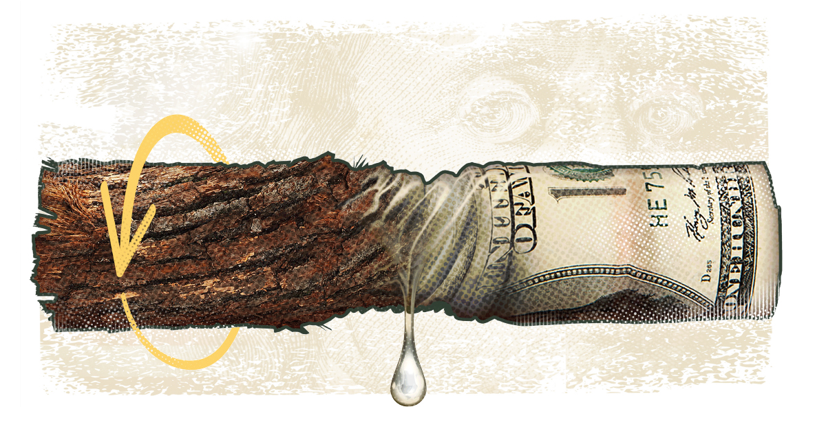 TheIIA's tweet image. An auditor teams with a plant manager to uncover fraud in an energy company’s zero-carbon biomass operations. Read “Going Green” in the February “Fraud” department. #IaMagIIA bddy.me/35H5Cev