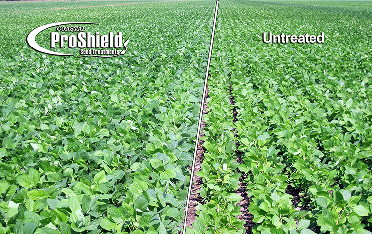 CoastalAgro's tweet photo. PLANTING TIME IS HERE! Place your treated seed order with Coastal AgroBusiness. Coastal ProShield offers a wide array of options in cotton, soybean, and wheat seed treatments. Contact your Coastal AgroBusiness Solutions Advisor today for more information! #ProShield #CoastalAgro https://t.co/Zy9Oo91azP