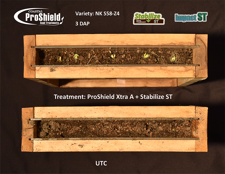 CoastalAgro's tweet photo. PLANTING TIME IS HERE! Place your treated seed order with Coastal AgroBusiness. Coastal ProShield offers a wide array of options in cotton, soybean, and wheat seed treatments. Contact your Coastal AgroBusiness Solutions Advisor today for more information! #ProShield #CoastalAgro https://t.co/Zy9Oo91azP