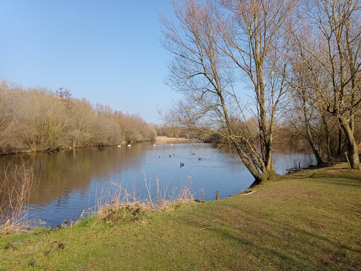 JonjoHeneghan's tweet image. Had a proper spring feeling on my positivity walk today. The sun was shining, the birds were singing, the majority of people I walked past shared a smile, nod or hello, and a sheep too. #Positivity #Springinmystep
