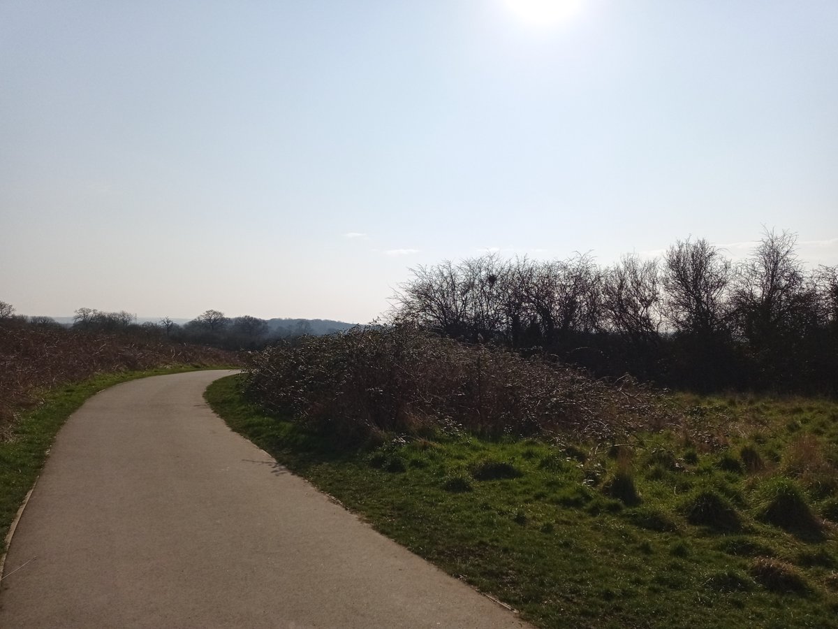 JonjoHeneghan's tweet image. Had a proper spring feeling on my positivity walk today. The sun was shining, the birds were singing, the majority of people I walked past shared a smile, nod or hello, and a sheep too. #Positivity #Springinmystep