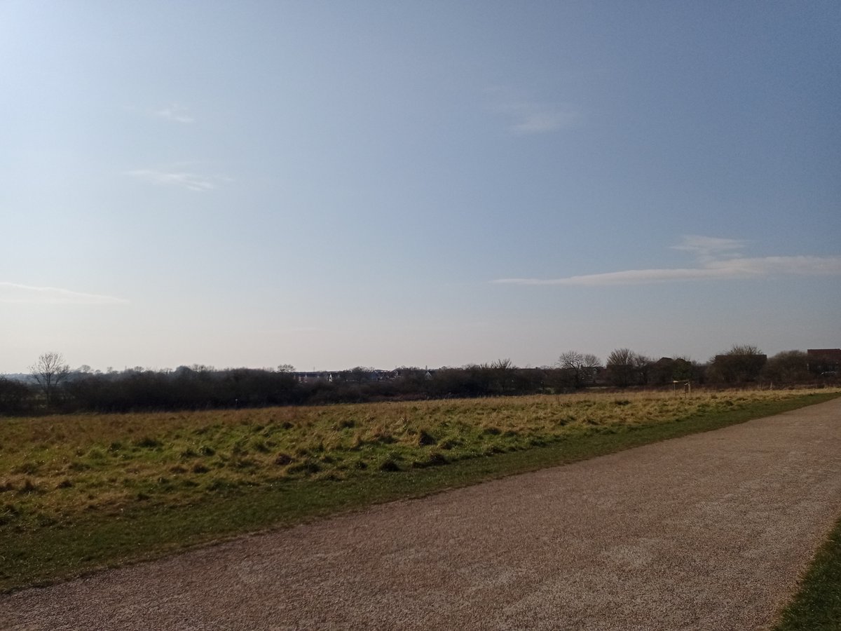 JonjoHeneghan's tweet image. Had a proper spring feeling on my positivity walk today. The sun was shining, the birds were singing, the majority of people I walked past shared a smile, nod or hello, and a sheep too. #Positivity #Springinmystep