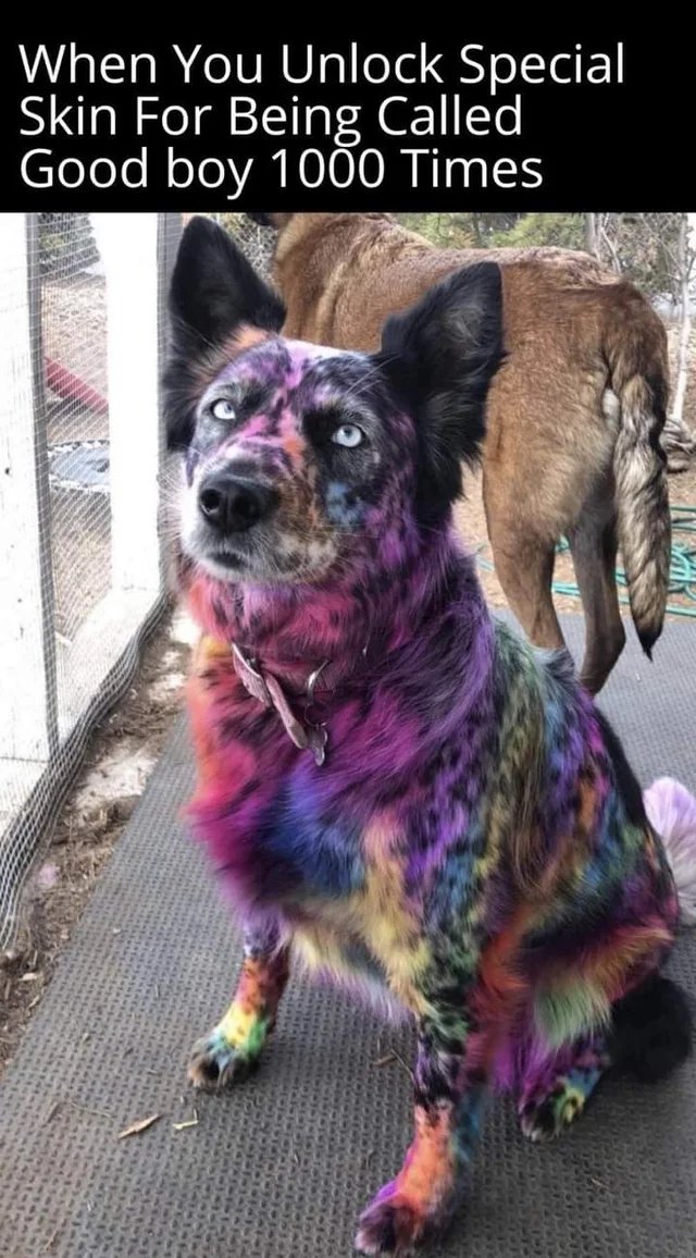 WholesomeMeme's tweet image. 