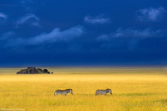 Et même la nature s’y met #Ukraine