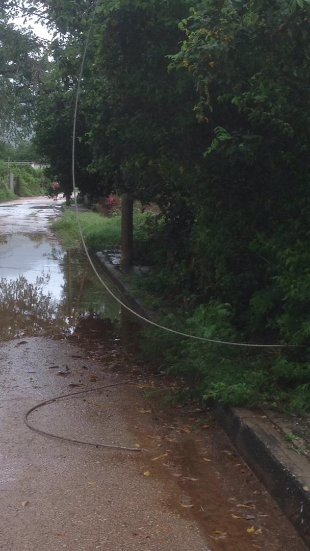 Nelson Acevedo tweet media