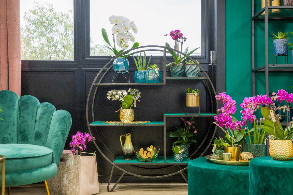 The most special products, most beautiful concepts and strongest novelties, that is Orchid Inspiration Days! 🌸