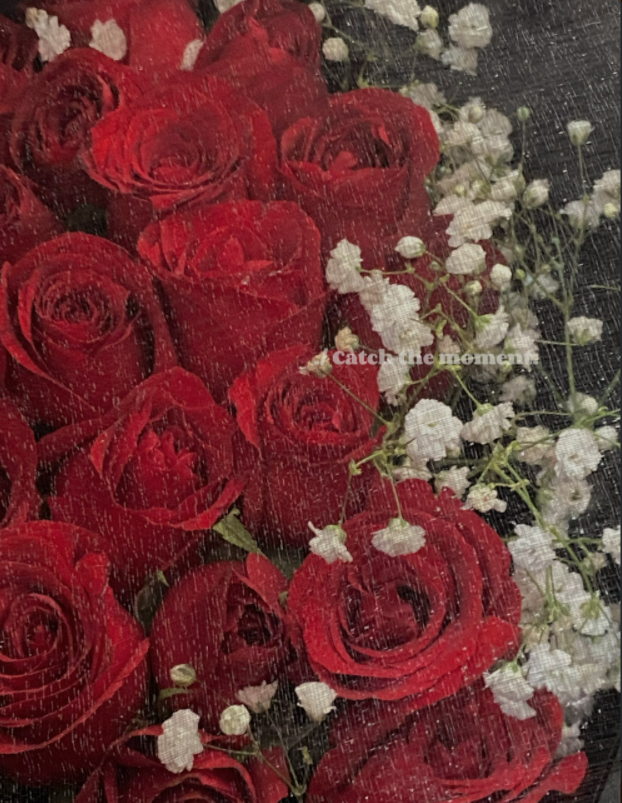 ALi Andxrc tweet media