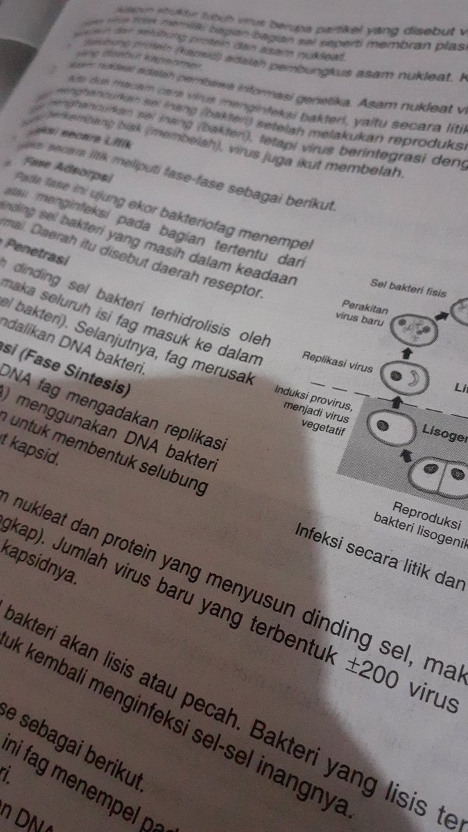 chocholatecoffe's tweet image. 08.03.22 🦋🦋🦋