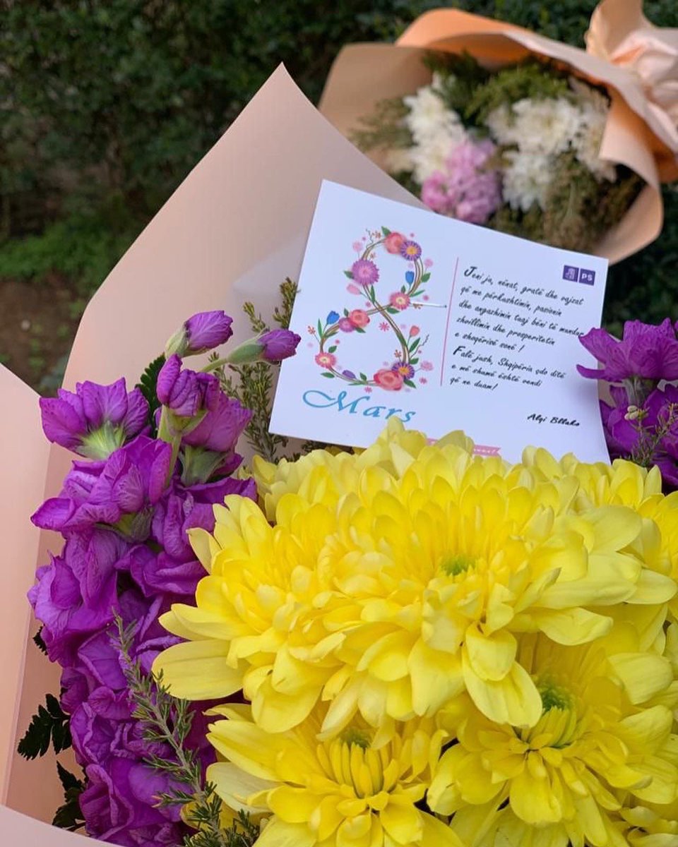 ABllako's tweet photo. Falë jush, Shqipëria çdo ditë e më shumë është vendi që ne duam! ❤️
Gëzuar 8 Marsin 🌹 çdo vajze dhe gruaje! 
.
•
•
#8Mars #Njësia1💜 #Tirana https://t.co/7F08VZwoc1