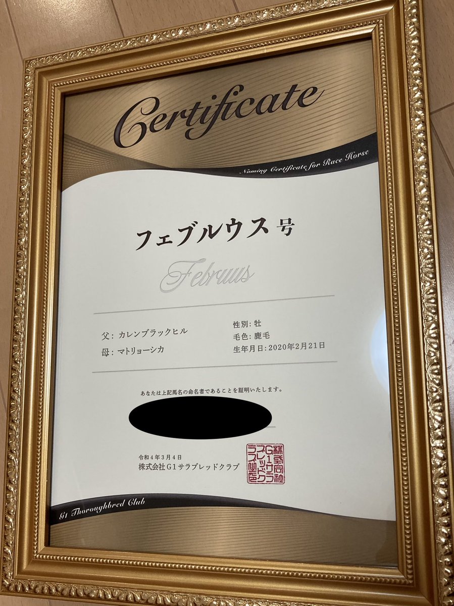 G1TCの命名者特典の一つであるデビューゼッケンが、昨日レースだったにも関わらず早くも発送されたみたいです💦
デビューゼッケンとしてはチャーミングアクトに続いて2つ目でしたが、勝利ゼッケンは他クラブも含めて初めてなので、嬉しいですね☺️  