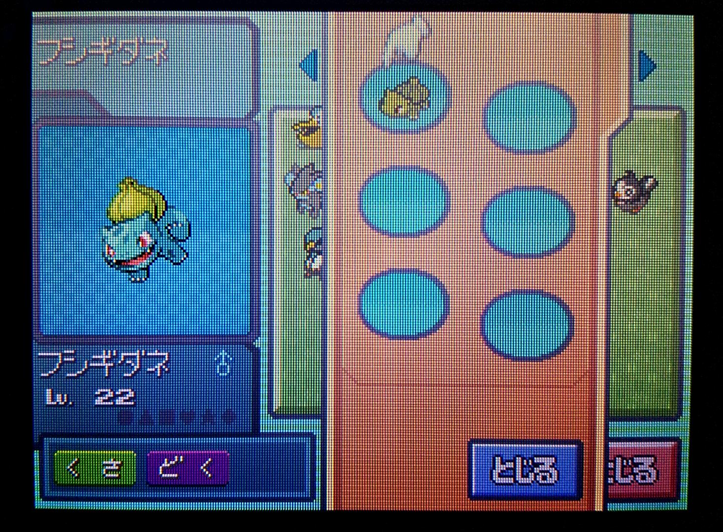 シロガネやまの住民 Twi11red Twitter