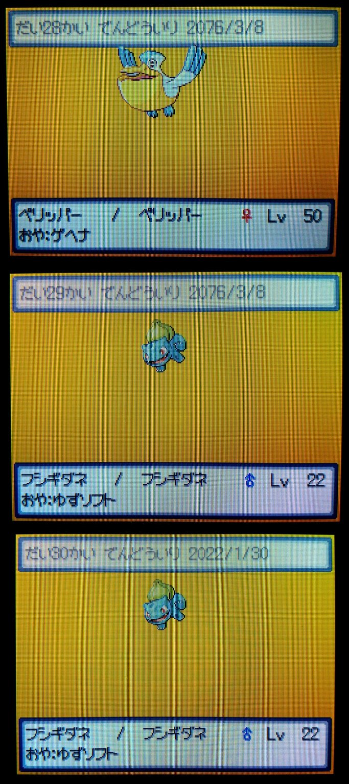 シロガネやまの住民 Twi11red Twitter