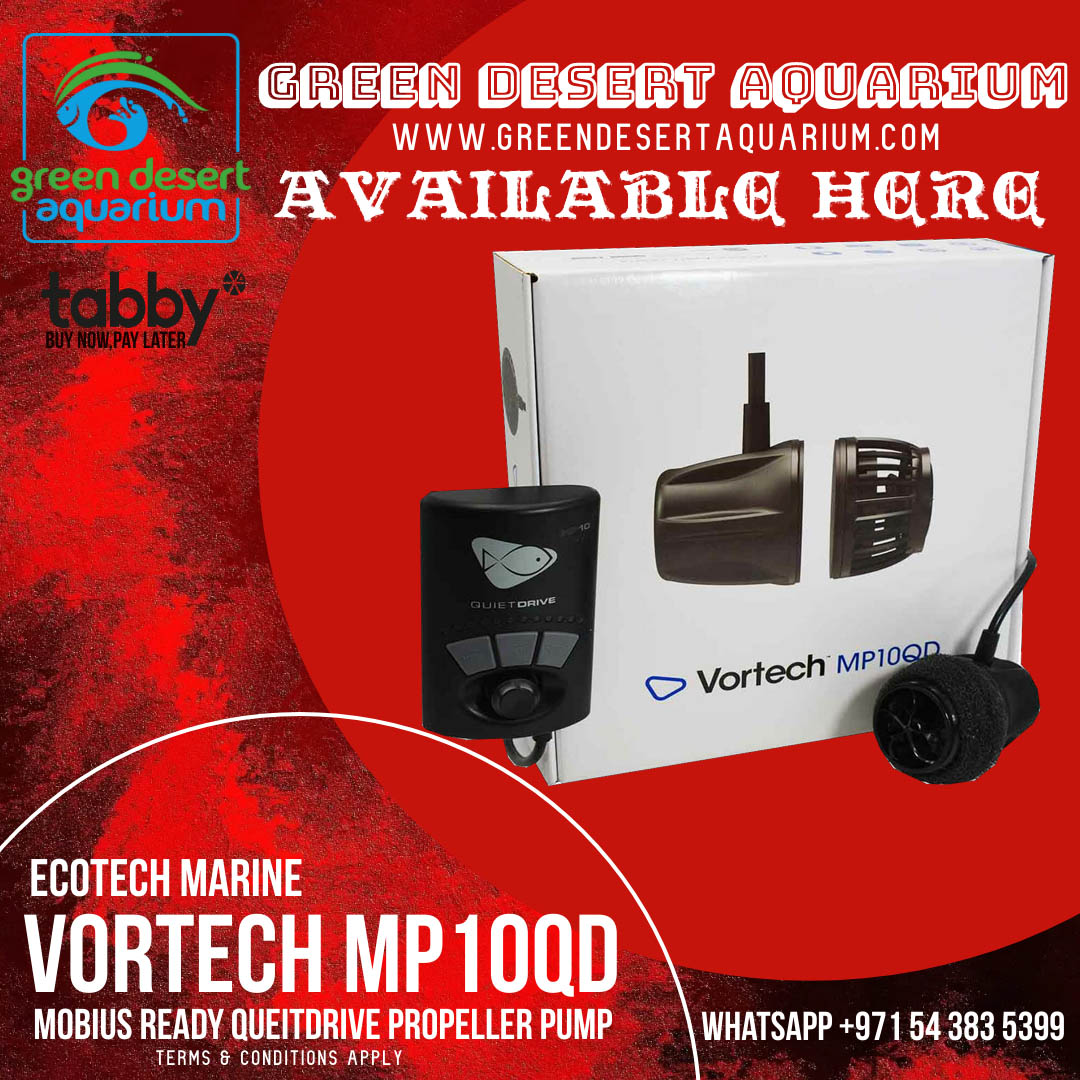 GdaMarine's tweet photo. 😍AVAILABLE HERE😍
"VORTECH MP10QD-ECOTECH MARINE"
https://t.co/ceSE5lWwNi
Cel. no. +971-54-3835399 ,Tel no. +971-4-2351017
You can visit our shop
Green Desert Aquarium Trading LLC (Marine Branch)
Shop no :- SS09, Al Talal 7 Building, Al Karama, Dubai.
#VORTECH #MARINE #ECOTECH https://t.co/pTHil8gu5p