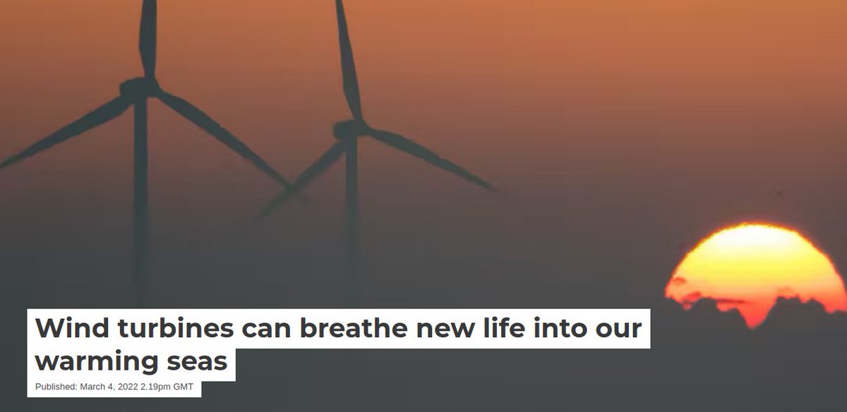 HiraethEnergy's tweet photo. Could #floatingwind help mitigate some of the impact of #globalwarming on deep sea ecosystems 🤔💡💭

Maybe...yes 🗯️‼️❣️

Fascinating blog post here for @ConversationUK by @sos_bangor_uni @RippethT @morphodynamics 

https://t.co/Y2qCUp4yEk https://t.co/4XzrFfwcJ3