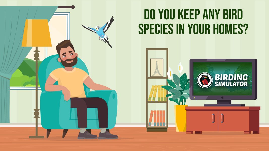 BirdingSim's tweet photo. Please tell us in the comments section! 🦆

#birding #simulator #indiedev #birdkeeping #IndieGameDev https://t.co/HzJnFwLgas