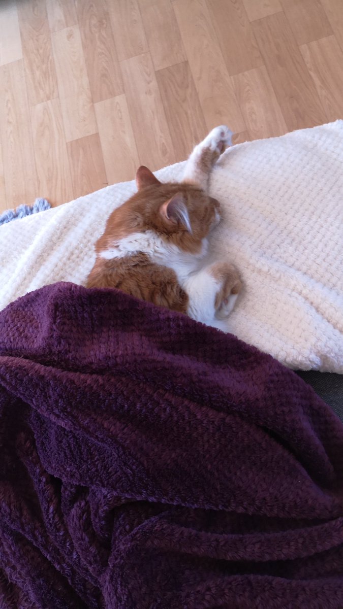 Sandra 🖤🦐🦦 tweet media