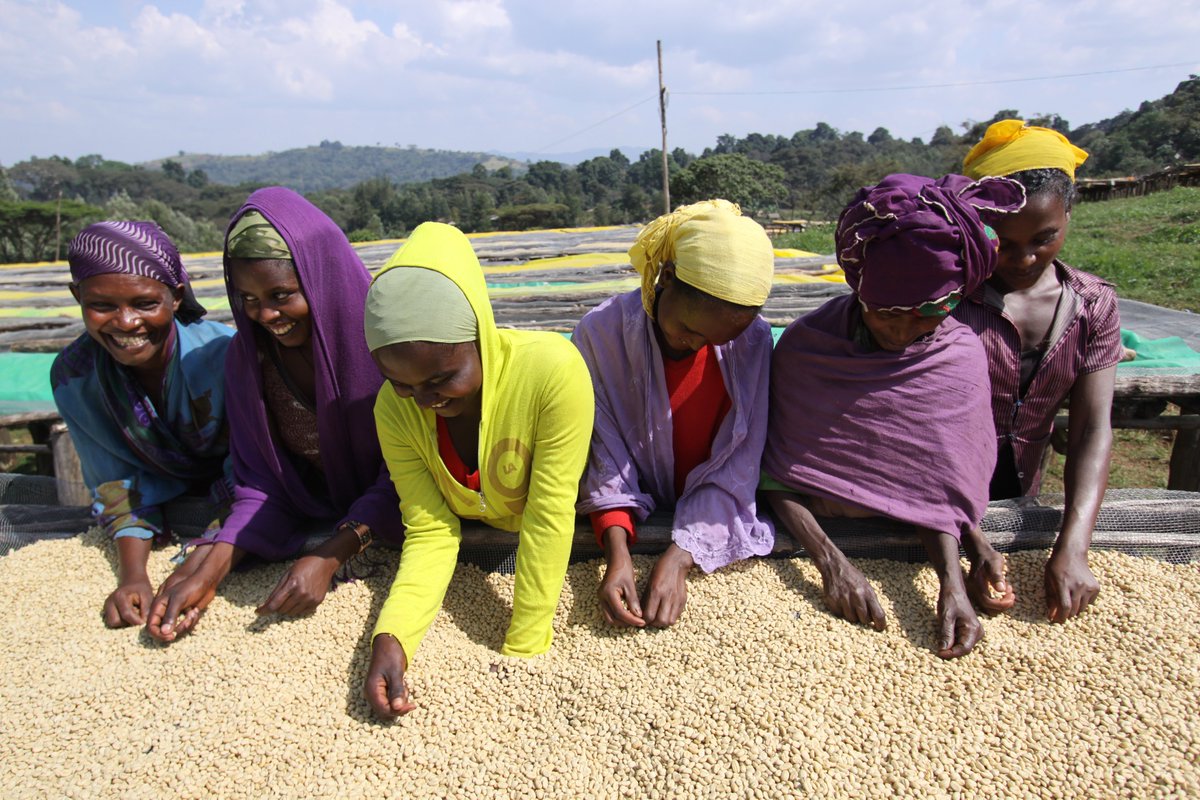 EFICOCOFFEE's tweet photo. Today March 8th, International Women's Day, we celebrate and thank all women in coffee. 💐🌎💚☕️

We applaud the importance of women in the supply chain and their fundamental role in the well-being of producing communities.

https://t.co/xFX3OJgfS7

#IWD2022 https://t.co/fsuXII3kQ4