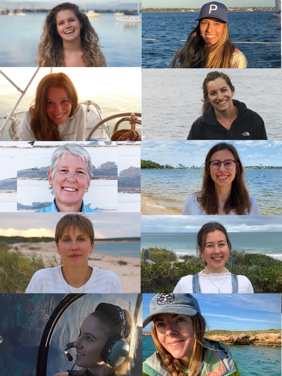 Blue Abacus tweet media