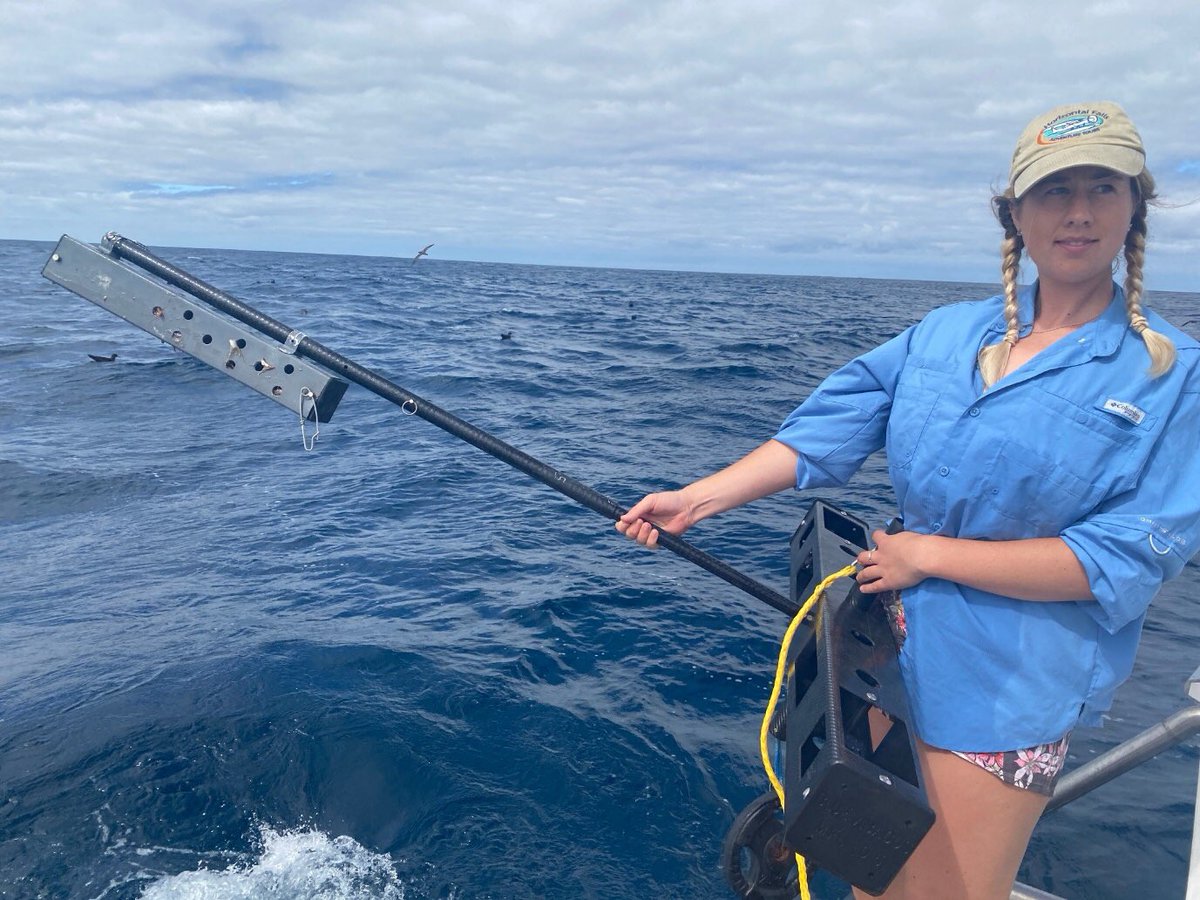 Blue Abacus tweet media