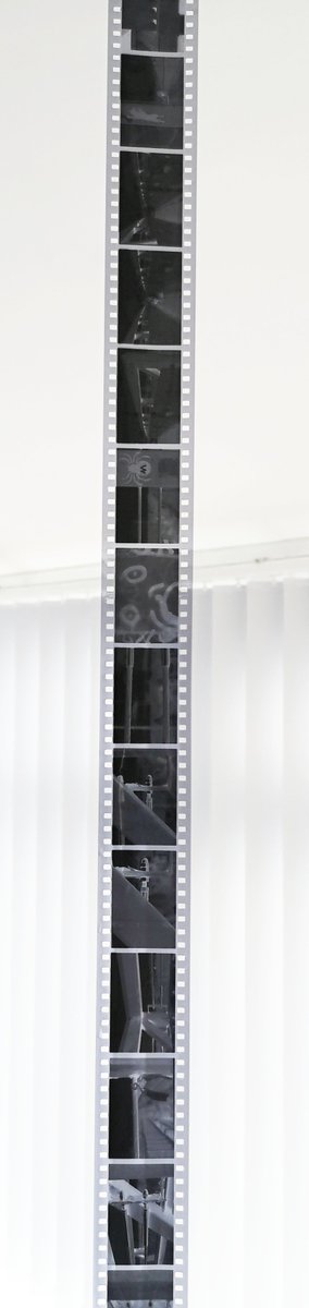 UnaOculusAperta's tweet photo. Thought I'd better share something #believeinfilm with you all; in these straightened times. Photographed a couple of weeks a go &amp; developed pm today. #Fomapan100Classic EI:125-ISO #FX55 [1+9] at 70°f 11minutes. 📷🎞️👍 https://t.co/lh47VtQAI4