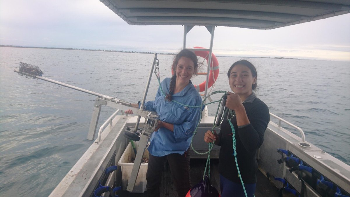 Blue Abacus (@countingfishes) on Twitter photo ... Hanna Jabour Christ who completed a 1st class honours on functional ecology of pelagic species … watch this space for the paper. <a href="/Shona__Murray/">Shona Murray</a> who has progressed her PhD whilst COVID-stuck in the UK and still continues her work on IUCN Vulnerable silky sharks. ... Hanna Jabour Christ who completed a 1st class honours on functional ecology of pelagic species … watch this space for the paper. <a href="/Shona__Murray/">Shona Murray</a> who has progressed her PhD whilst COVID-stuck in the UK and still continues her work on IUCN Vulnerable silky sharks.