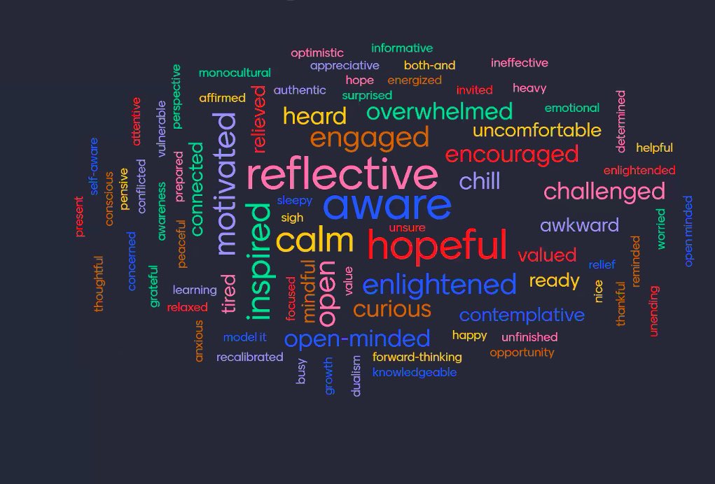 Access2Rigor's tweet photo. When @VISIONSincorg recently asked 200 of our faculty, “How are you feeling?” after 3 hours of DEI professional development, this is how they responded! Thank-you @VISIONSincorg for your inspiring &amp; compassionate facilitation! https://t.co/9SlTCaT3De