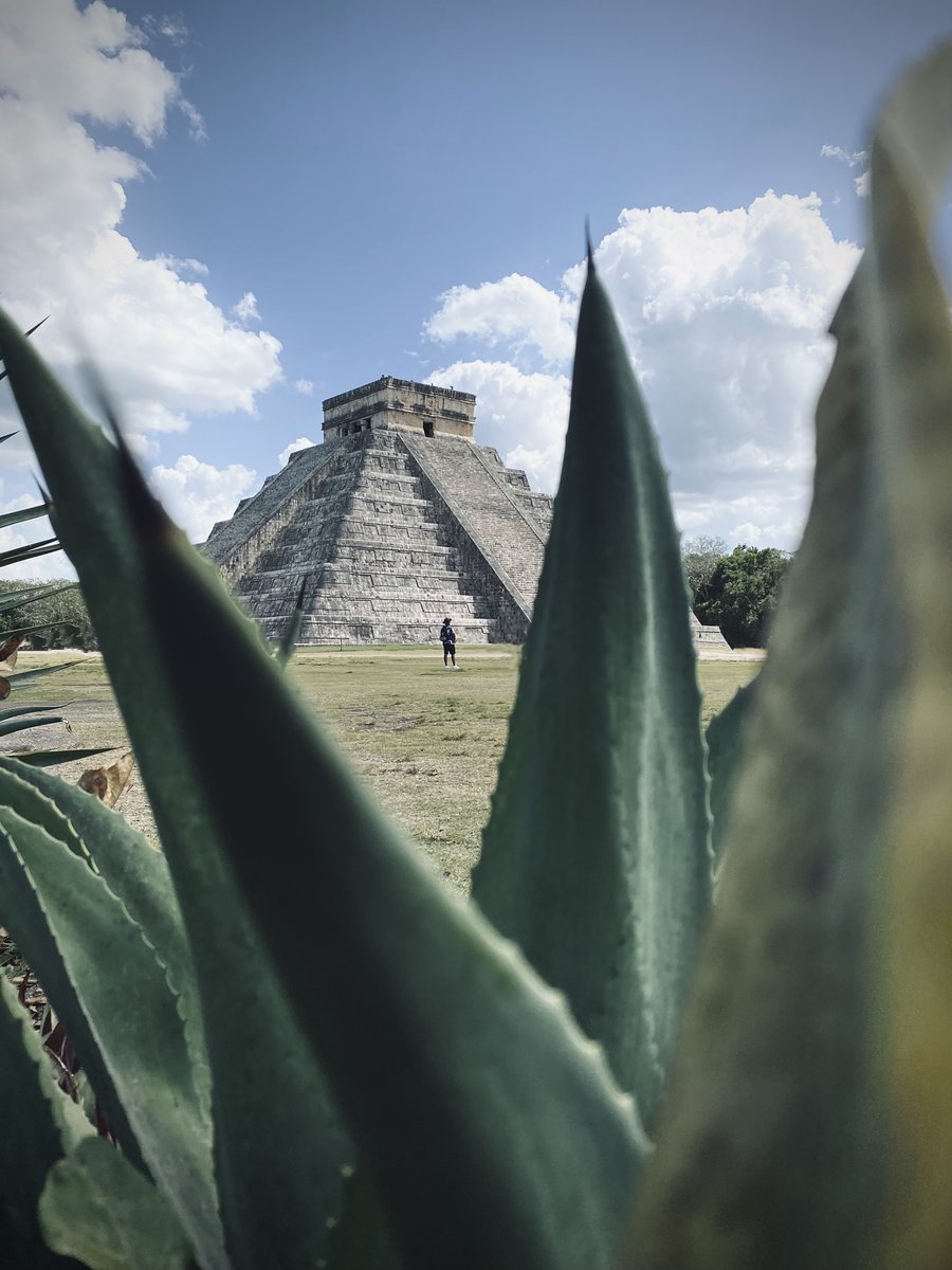ev_jpeg's tweet photo. gm from 🇲🇽 #shotoniphone https://t.co/fQ32TtxnXz
